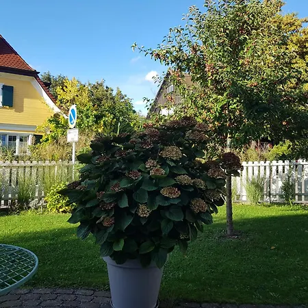 Fewo Simone - Ueberlingen City - Zewnętrze zdjęcie